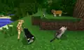 Ein Ozelot und mehrere Katzen