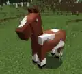 Jeb zeigt eine Anpassung des neuen Modells für Pferde auf Twitter