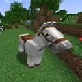 Ein Pferd mit einem Sattel.