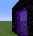 Partikel eines Netherportals