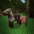 Ein Pferd mit einer Eisenrüstung, angebunden an einen Zaun