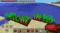 Johan Bernhardsson zeigt ein Bild von roter Bete in der Bedrock Edition