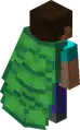 Schildkröten Cape.