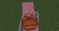 Spieler reitet Schwein, während das Schwein eine Lore reitet.