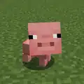 Ein kleines Ferkel