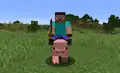 Spieler reitet ein Schwein mit einer Karottenrute und einem Sattel.