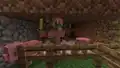 Schweinezombies in der Oberwelt, entstanden durch einen Blitz