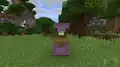 nennt man einen Shulker Grumm oder Dinnerbone, so öffnet er seinen Deckel nach unten