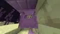 Ein Shulker an einer Endsiedlung.