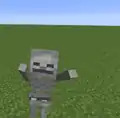 Ein Skelett kämpft ohne Waffe ähnlich einem Zombie.