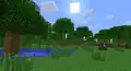 Sumpf in Beta 1.8 mit sehr heller Grasfarbe