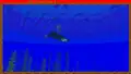 Ein Tintenfisch als 2½D-Modell