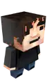 Sein Mojang-Avatar