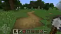 Von Jeb via Twitter verbreitetes Bild von dem Trampelpfad in der Bedrock Edition