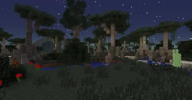Ein Mangrovensumpf