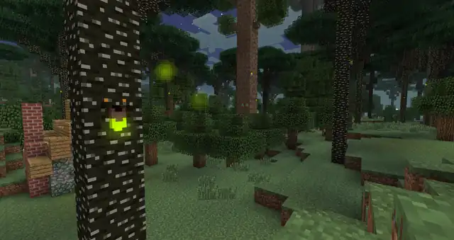 Der Twilight Forest