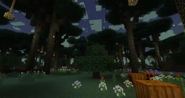 Ein lichter Wald