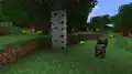 Erstes Bild der Tierkinder von Notch.