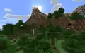 Ein Wald geht in die Berge über.