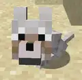 Ein kleiner Welpe