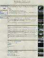 Die Wurm Online-Webseite zu Beginn des Projektes im Oktober 2003