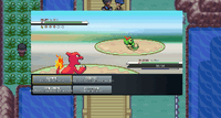 Kampfinterface PokeMMO_Kampf.png