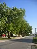 Straße (Komáromi utca)