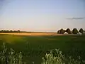 Landschaft nördlich von Ács