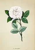 'Élisa Boëlle', 1869