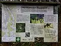 Öko-Korridor Reppisch; Schild bei Sellenbüren