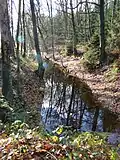 Inzwischen zugewachsener Örtzekanal zwischen Müden und Hermannsburg