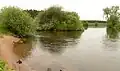 Mündung der Örtze (links) in die Unteraller bei Winsen (Aller)