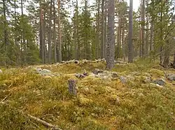 Kung Östens Grav