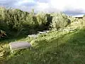 Blick vom Weg bis zum Bach