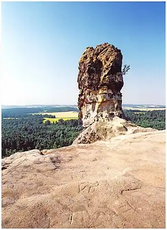 Tschapkeule am Gipfelplateau