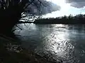 Die Drau bei Őrtilos