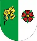 Lindenblätter mit Lindenblüte (Želeč (Scheletsch)/CZ)
