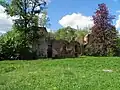 Schlossruinen