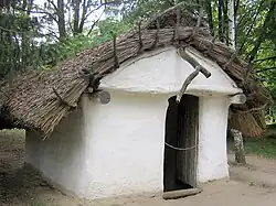 Haus aus dem 11. Jahrhundert in Sosnowa (Studenyky)