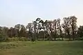 Parkdenkmal für Garten- und Parkkunst in Lemeschiwka