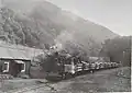 Holztransport