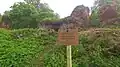 Ruine Fischhausen, 2