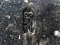 Tirthankara in Gebetshaltung