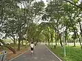 Wachirabenchatat Park, Chatuchak Distrikt