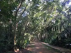 Forest Research Institute Malaysia im Naturpark Selangor