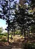 Zhongshan-Park
