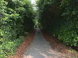 Hohlweg in Yanpu