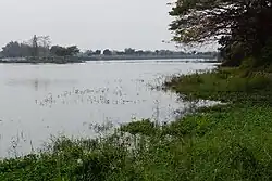 Hutoupi