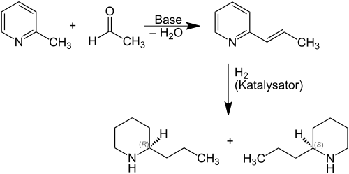 Coniinsynthese aus Picolin und Acetaldehyd