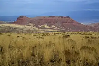 Landschaft im östlichen Bighorn Basin
